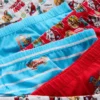1,5-7 años | Paquete de 6 calzoncillos de «Paw Patrol»