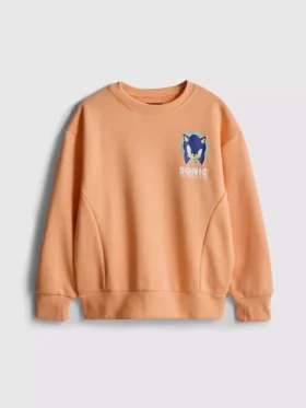 7-15 años | Sudadera de Sonic the Hedgehog