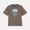 Camisas con el logotipo de los Detroit Lions de la NFL
