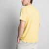 Camisas de manga corta de corte regular