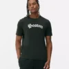 Camiseta Boston