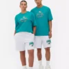 Camiseta con el logotipo de los Miami Dolphins de la NFL