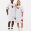 Camiseta de los Chicago Bulls de la NBA