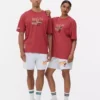Camiseta de los Miami Heat de la NBA
