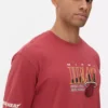 Camiseta de los Miami Heat de la NBA