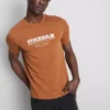 Camiseta Stockholm