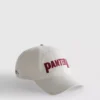 Gorra de béisbol de Pantera