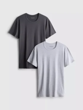 Lote de 2 camisas básicas de manga corta