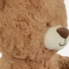 Osito de peluche clásico