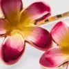 Pack de 2 horquillas florales