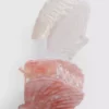 Paquete de 2 horquillas con forma de concha