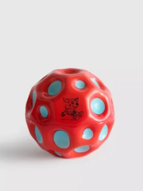 Pelota de la Patrulla Canina