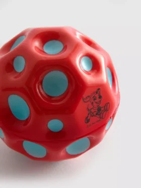 Pelota de la Patrulla Canina