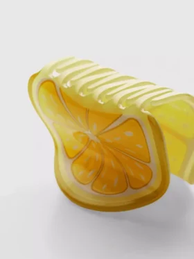 Pinza para el pelo con forma de rodaja de fruta