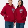 Sudadera con capucha del equipo de la NFL Houston Texans