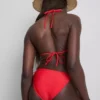 Top de bikini triangular con diseño de tucán